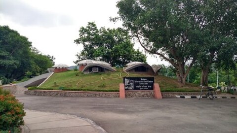 Get Eco-Conscious at Nature Interpretation Centre